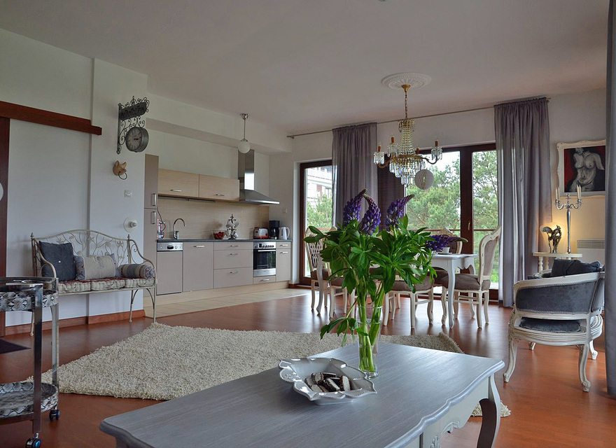 Wohnzimmer mit Kochnische