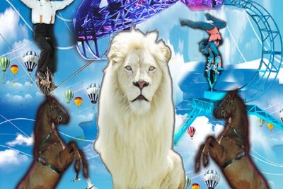 Circus William präsentiert 2013: „SUMMER Circus-Cocktail – Die Show zum abkühlen“
