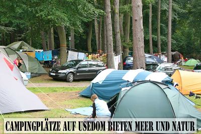 Campingplätze auf Usedom bieten Meer und Natur