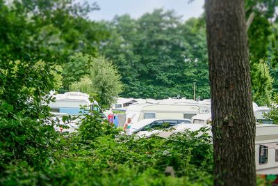Campingplatz Ückeritz