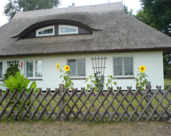Ferienhaus Ummanz : Fereinhausansicht Ferienhaus Ummanz : Fereinhausansicht