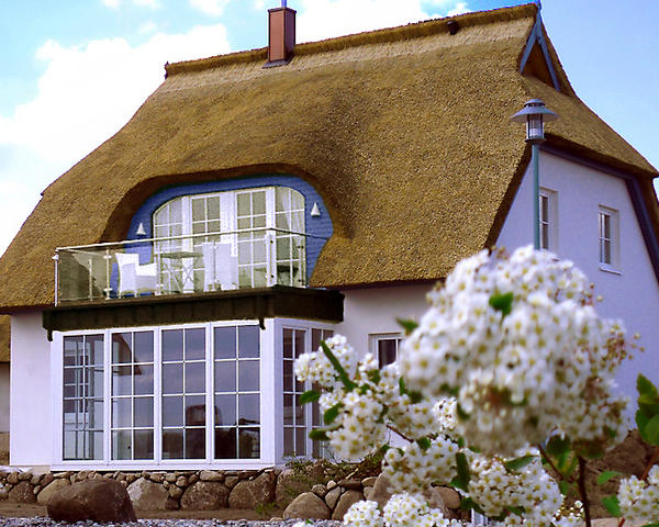 Ferienhaus Zinnowitz : Das 'Blaue Wunder' -Südansicht Ferienhaus Zinnowitz : Das 'Blaue Wunder' -Südansicht