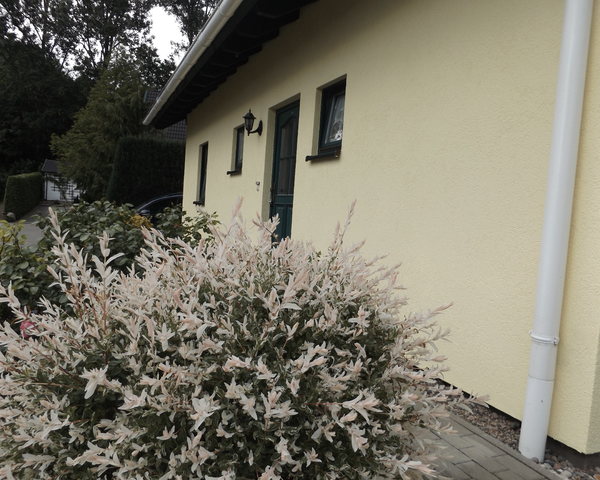 Ferienwohnung Bansin : Haus Menzel