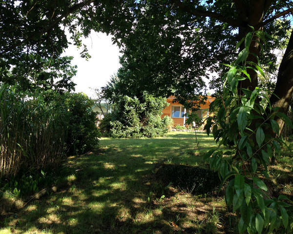 Ferienhaus Zinnowitz : Fast versteckte Idylle