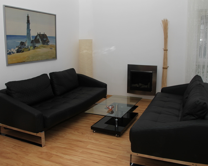 Wohnzimmer mit Bio-Kamin exklusiv usedom